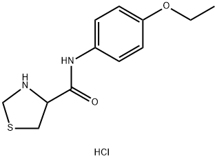 N-(4-ethoxyphenyl)thiazolidine-4-carboxamide hydrochloride Structure