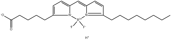 Borate(1-), difluoro[5-[(5-octyl-2H-pyrrol-2-ylidene-κN)methyl]-1H-pyrrole-2-pentanoato(2-)-κN1]-, hydrogen (1:1), (T-4)- Structure