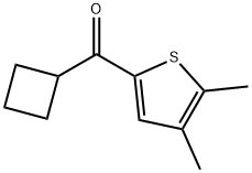 Cyclobutyl(4,5-dimethyl-2-thienyl)methanone Structure