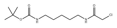 tert-butyl (5-(2-chloroacetamido)pentyl)carbamate Structure