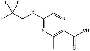 3-Methyl-5-(2,22-trifluoroethoxy)2-pyrazinecarboxylic acid 구조식 이미지