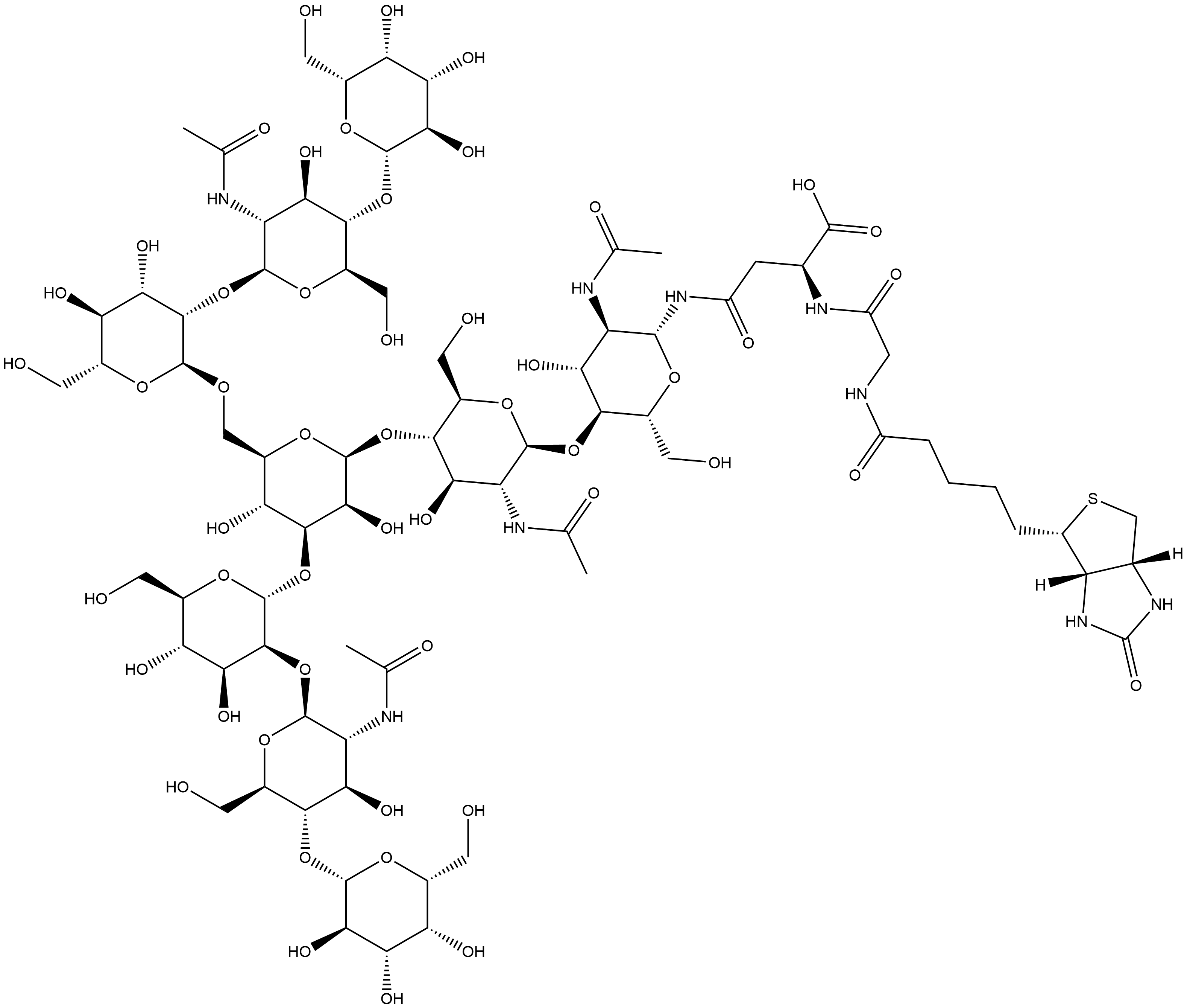 3aS-(3aα,4β,6aα)]-N-[O-β-D-galactopyranosyl-(1→4)-O-2-(acetylamino)-2-deoxy-β-D-glucopyranosyl-(1→2)-O-α-D-mannopyranosyl-(1→3)-O-[O-β-D-galactopyranosyl-(1→4)-O-2-(acetylamino)-2-deoxy-β-D-glucopyranosyl-(1→2)-α-D-mannopyranosyl-(1→6)]-O-β-D-mannopyranosyl-(1→4)-O-2-(acetylamino)-2-deoxy-β-D-glucopyranosyl-(1→4)-2-(acetylamino)-2-deoxy-β-D-glucopyranosyl]-N2-[N-[5-(hexahydro-2-oxo-1H-thieno[3,4-d]imidazol-4-yl)-1-oxopentyl]glycyl]-L-Asparagine Structure