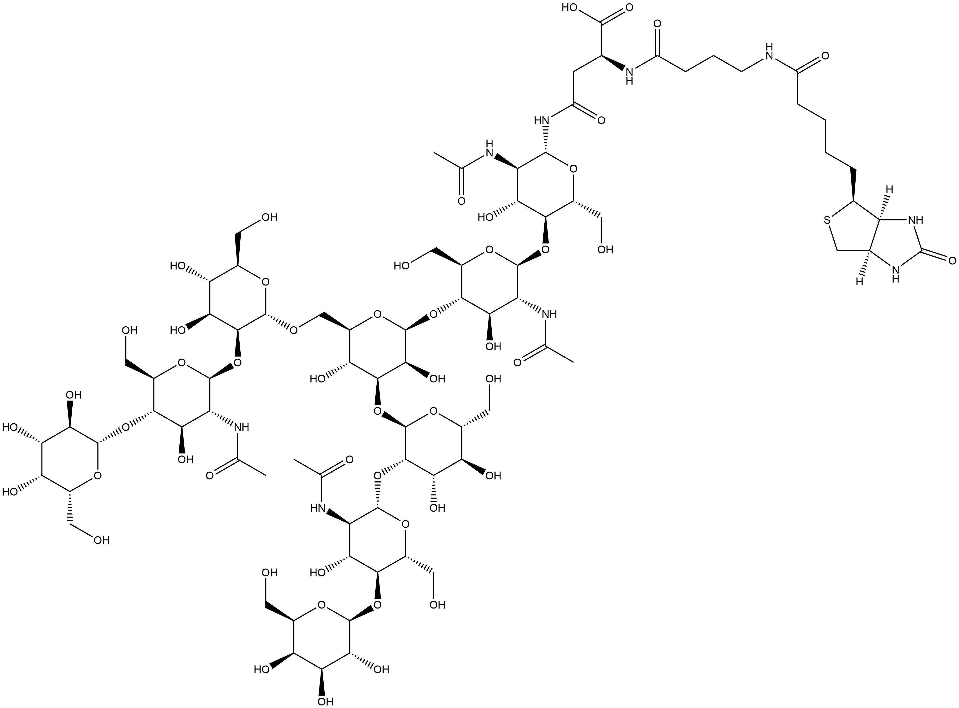 3aS-(3aα,4β,6aα)]-N-[O-β-D-galactopyranosyl-(1→4)-O-2-(acetylamino)-2-deoxy-β-D-glucopyranosyl-(1→2)-O-α-D-mannopyranosyl-(1→3)-O-[O-β-D-galactopyranosyl-(1→4)-O-2-(acetylamino)-2-deoxy-β-D-glucopyranosyl-(1→2)-α-D-mannopyranosyl-(1→6)]-O-β-D-mannopyranosyl-(1→4)-O-2-(acetylamino)-2-deoxy-β-D-glucopyranosyl-(1→4)-2-(acetylamino)-2-deoxy-β-D-glucopyranosyl]-N2-[4-[[5-(hexahydro-2-oxo-1H-thieno[3,4-d]imidazol-4-yl)-1-oxopentyl]amino]-1-oxobutyl]-L-Asparagine Structure