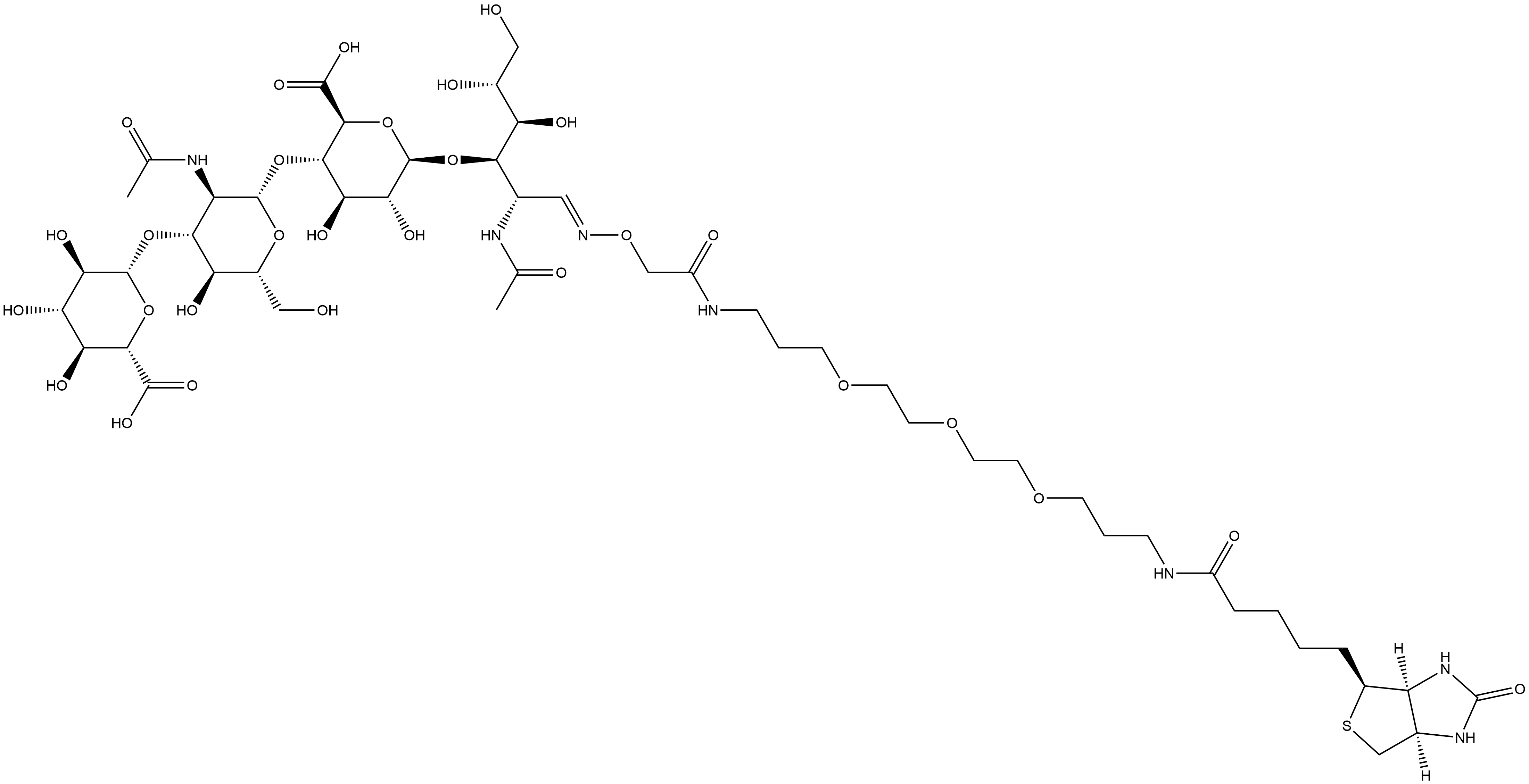 (1E)-O-β-D-Glucopyranuronosyl-(1→3)-O-2-(acetylamino)-2-deoxy-β-D-glucopyranosyl-(1→4)-O-β-D-glucopyranuronosyl-(1→3)-2-(acetylamino)-2-deoxy-D-glucose 1-[O-[22-[(3aS,4S,6aR)-hexahydro-2-oxo-1H-thieno[3,4-d]imidazol-4-yl]-2,18-dioxo-7,10,13-trioxa-3,17-diazadocos-1-yl]oxime Structure