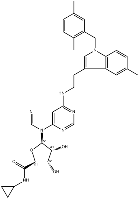 UP 202-56 Structure