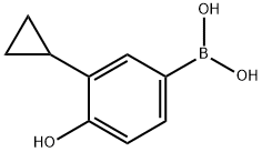 (3-Cyclopropyl-4-hydroxyphenyl)boronic acid Structure