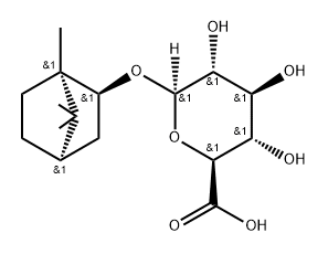 Borneol glucuronide Structure