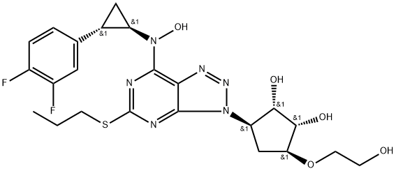 Ticagrelor DP4 Structure