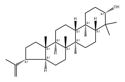 A'-Neogammacer-22(29)-en-3-ol, (3β,21β)- 구조식 이미지