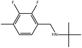 N-(1,1-Dimethylethyl)-2,3-difluoro-4-methylbenzenemethanamine Structure