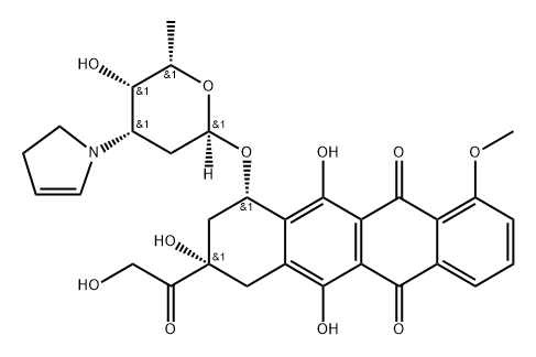 AN 204 Structure