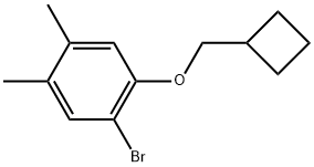 1-bromo-2-(cyclobutylmethoxy)-4,5-dimethylbenzene Structure