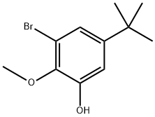 3-bromo-5-(tert-butyl)-2-methoxyphenol Structure