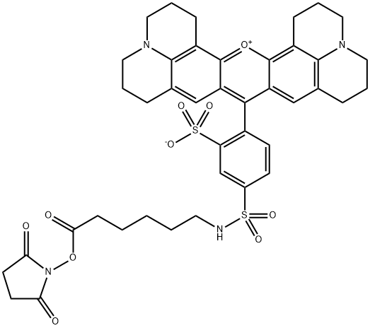 Texas Red-X succinimidyl ester Structure