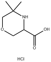 3-Morpholinecarboxylic acid, 5,5-dimethyl-, hydrochloride (1:1) 구조식 이미지