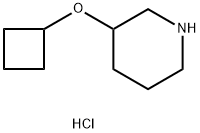 3-cyclobutoxypiperidine hydrochloride Structure