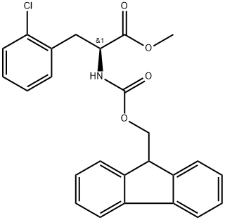 INDEX NAME NOT YET ASSIGNED Structure