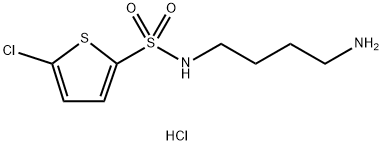 N-(4-aminobutyl)-5-chlorothiophene-2-sulfonamide hydrochloride Structure
