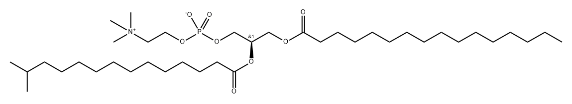 INDEX NAME NOT YET ASSIGNED Structure