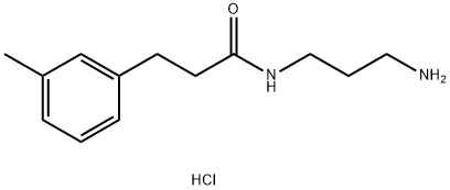 N-(3-aminopropyl)-3-(m-tolyl)propanamide hydrochloride Structure