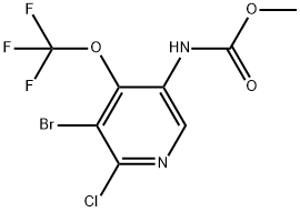 methyl(5-bromo-6-chloro-4-(trifluoromethoxy)pyridin-3-yl)carbamate Structure