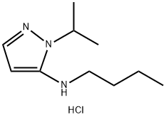 N-butyl-1-isopropyl-1H-pyrazol-5-amine Structure