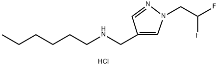 {[1-(2,2-difluoroethyl)-1H-pyrazol-4-yl]methyl}hexylamine Structure