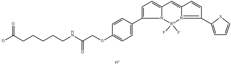 Borate(1-),difluoro[6-[[[4-[5-[[5-(2-thienyl)- 2H-pyrrol-2-ylidene-kN]methyl]-1H-pyrrol- 2-yl-kN]phenoxy]acetyl]amino]hexanoato(2-)]-,hydrogen,(T-4)- 구조식 이미지