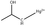 MHP Structure