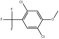 Benzene, 1,4-dichloro-2-methoxy-5-(trifluoromethyl)- Structure