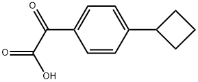 2-(4-cyclobutylphenyl)-2-oxoacetic acid Structure