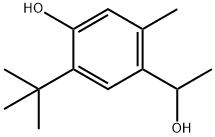 5-(1,1-Dimethylethyl)-4-hydroxy-α,2-dimethylbenzenemethanol Structure