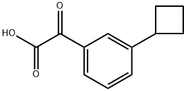 2-(3-cyclobutylphenyl)-2-oxoacetic acid Structure