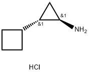 rac-(1R,2S)-2-cyclobutylcyclopropan-1-amine hydrochloride, trans Structure
