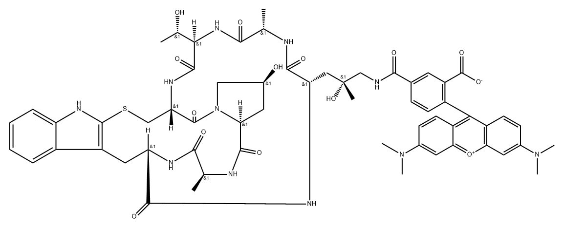((R)-4-Hydroxy-4-methyl-Orn(5-TAMRA))-Phalloidin Structure