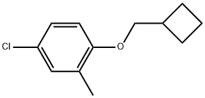 4-Chloro-1-(cyclobutylmethoxy)-2-methylbenzene 구조식 이미지