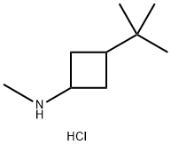 3-tert-butyl-N-methylcyclobutan-1-amine hydrochloride 구조식 이미지