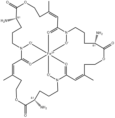 fusigen Structure