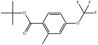 1,1-Dimethylethyl 2-methyl-4-(trifluoromethoxy)benzoate Structure