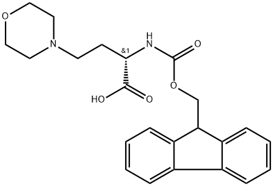 4-Morpholinebutanoic acid, α-[[(9H-fluoren-9-ylmethoxy)carbonyl]amino]-, (αS)- Structure