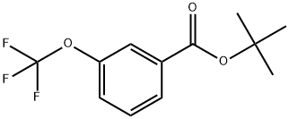 Tert-butyl 3-(trifluoromethoxy)benzoate Structure