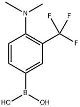 (4-(Dimethylamino)-3-(trifluoromethyl)phenyl)boronic acid 구조식 이미지