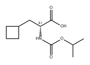 (R)-3-Cyclobutyl-2-((isopropoxycarbonyl)amino)propanoic acid 구조식 이미지