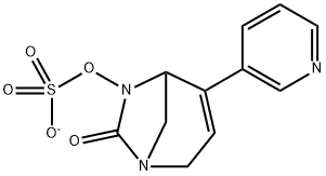 Sulfuric acid, mono[7-oxo-4-(3-pyridinyl)-1,6-
diazabicyclo[3.2.1]oct-3-en-6-yl] ester, ion(1-) Structure