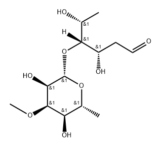 DREBYSSOBIOSE Structure