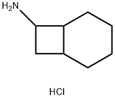 Bicyclo[4.2.0]octan-7-amine, hydrochloride (1:1) Structure