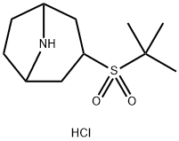 3-(2-Methylpropane-2-sulfonyl)-8-azabicyclo[3.2.1]octane hydrochloride Structure