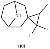 2',2'-Difluoro-3'-methyl-8-azaspiro[bicyclo[3.2.1]octane-3,1'-cyclopropane] hydrochloride 구조식 이미지