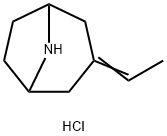 3-Ethylidene-8-azabicyclo[3.2.1]octane hydrochloride Structure