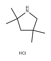 2,2,4,4-tetramethylpyrrolidine hydrochloride Structure